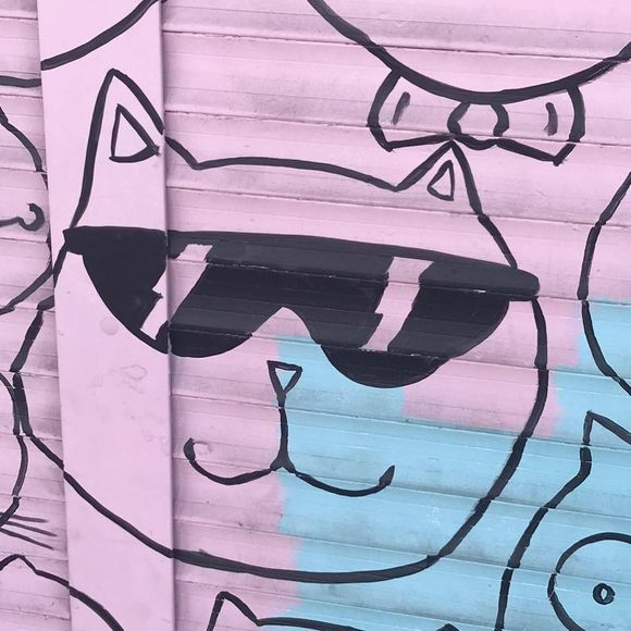 Meet your Posher, Jason - Picture 1 of 1